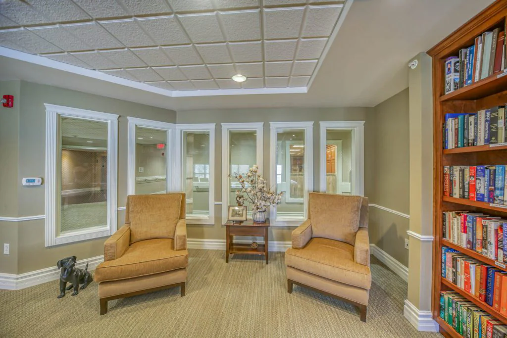 comfortable chairs in library